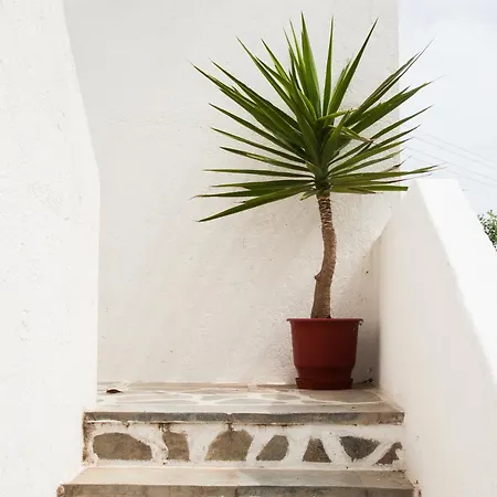 Manousos' Γαλησσάς